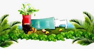 植物洗护用品免抠