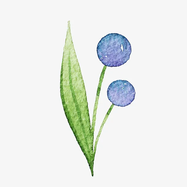 水彩植物免抠
