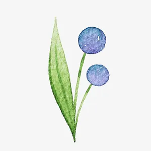 水彩植物免抠