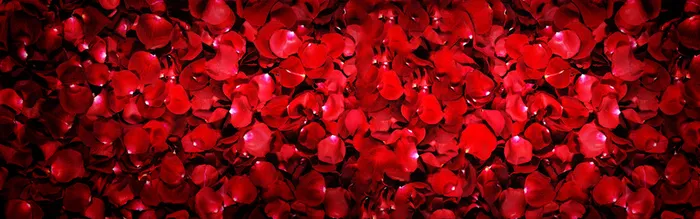 淘宝女装背景高清