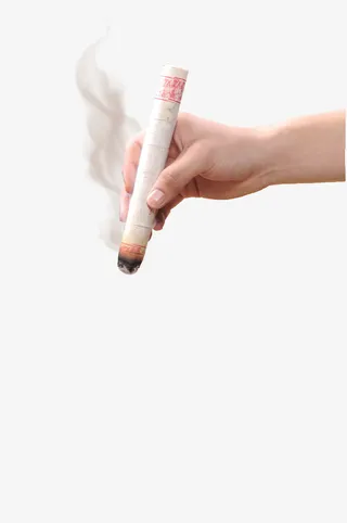 艾草艾条疚图免抠