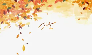 矢量秋意落叶免抠