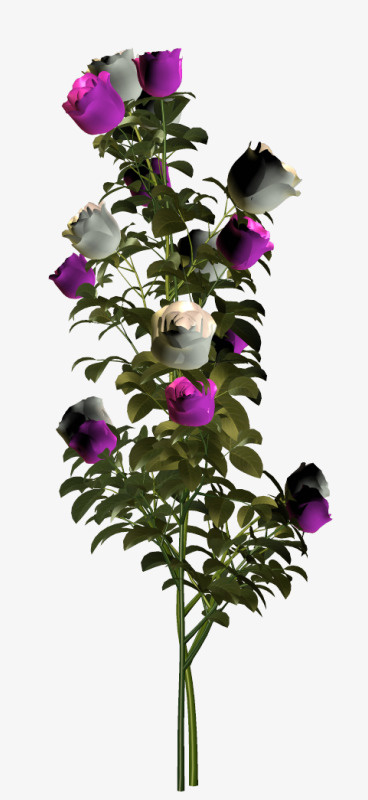花卉插画鲜花花草免抠