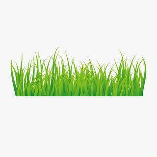春季绿色绿草地清新元素崩免抠
