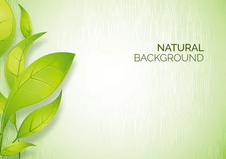 绿叶自然木纹背景素材高清