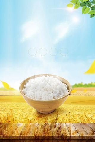 五谷杂粮健康养生背景素材高清