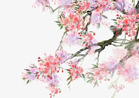 春天花朵树枝装饰元素免抠