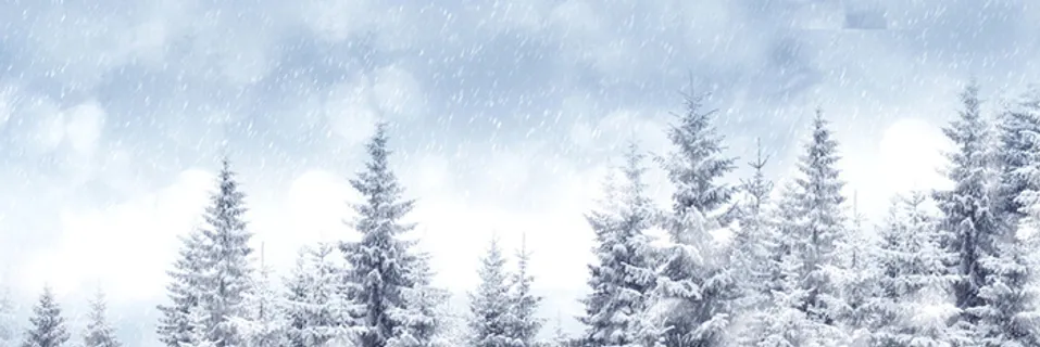 雪背景高清 雪背景高清