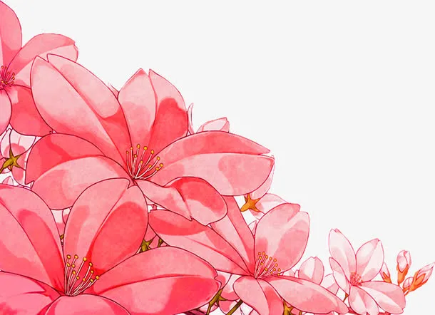 粉色鲜花花朵植物创意免抠