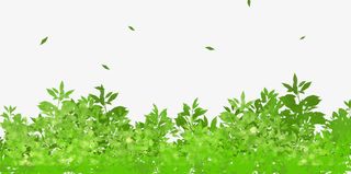 春天插画手绘水彩绿树植物装饰插免抠