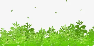 春天插画手绘水彩绿树植物装饰插免抠