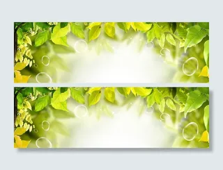 春天绿色背景高清