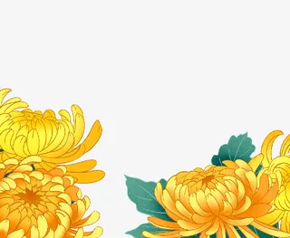 重阳赏菊卡通元素免抠