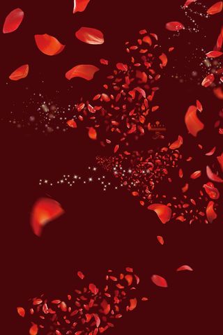 花瓣爱心背景高清