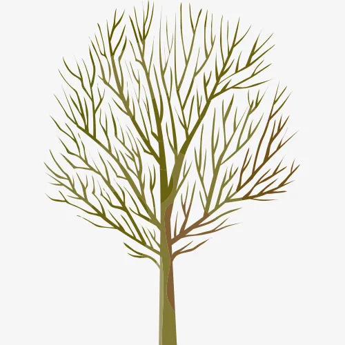 手绘树枝免抠