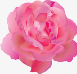 粉色渐变婚礼花朵展架免抠