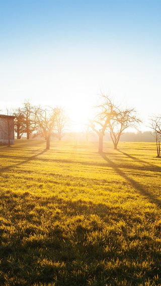 耀眼的阳光高清