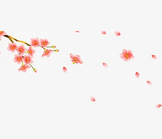 粉色飘扬桃花花瓣免抠