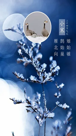 节气小寒H5海报素材高清