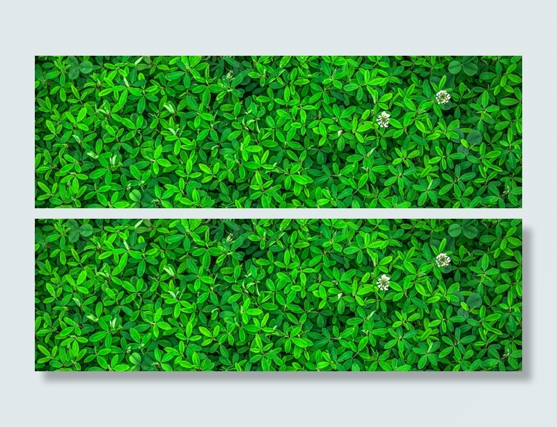 摄影春天绿色业主背景高清