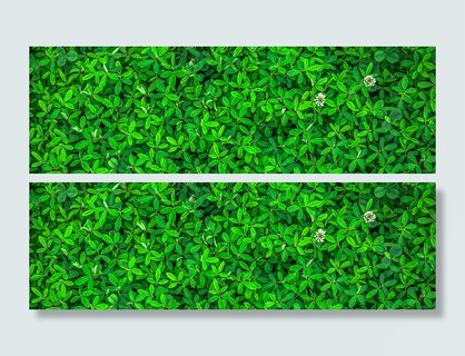 摄影春天绿色业主背景高清