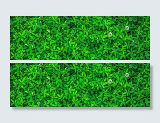 摄影春天绿色业主背景高清