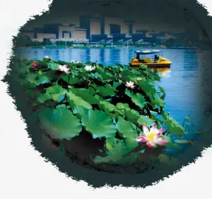 中国风水墨荷叶风景免抠