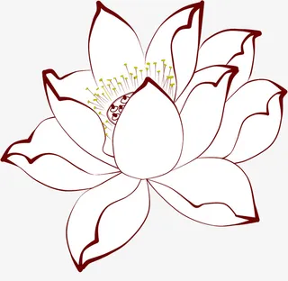 荷花矢量图白底免抠