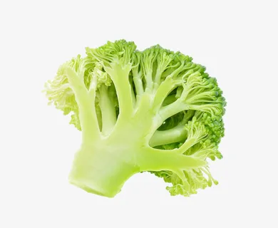 一颗切开的西蓝花免抠 一颗切开的西蓝花免抠