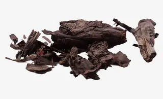 天然紫草免抠素材免抠