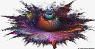 绽放的花朵免抠