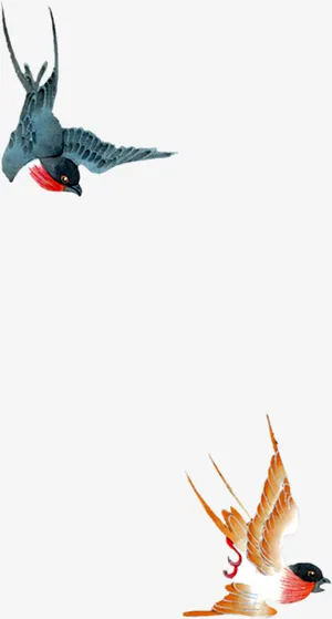 春天，燕子，手绘，卡通免抠