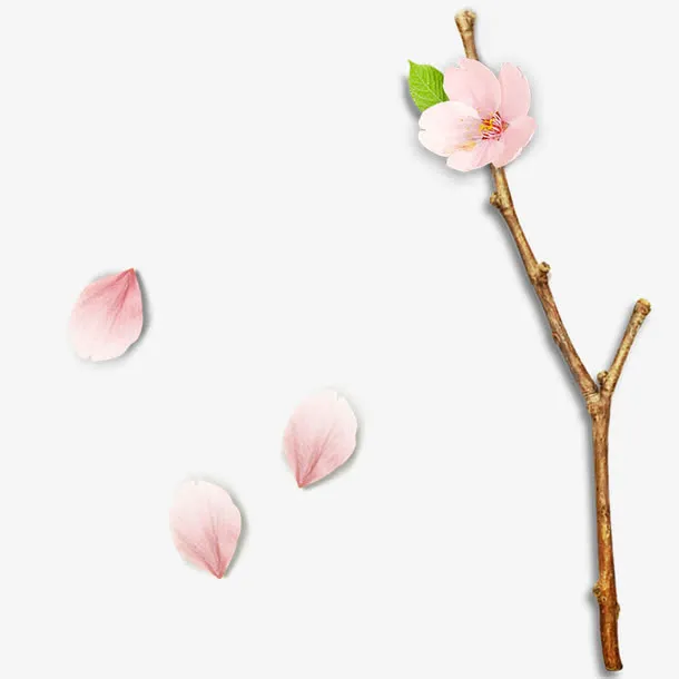 粉色的桃花花瓣素材免抠
