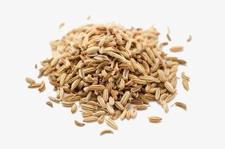 小茴香中药新鲜小茴香籽免抠