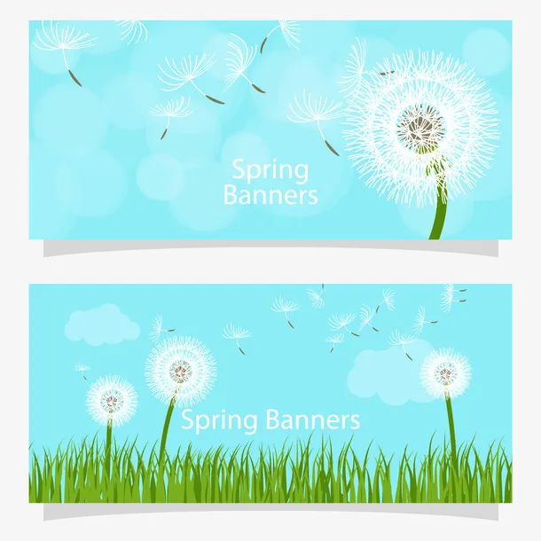 春天蒲公英矢量素材免抠