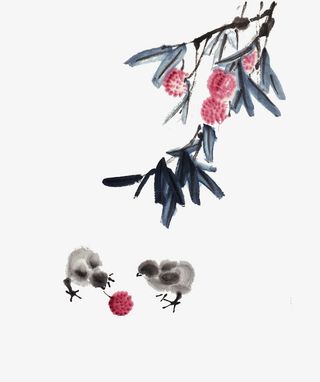 花鸟国画荔枝树和小鸡免抠
