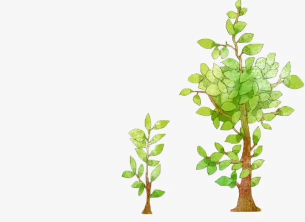 植树，树，手绘免抠