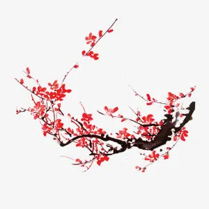 中国风水墨写意梅花免抠