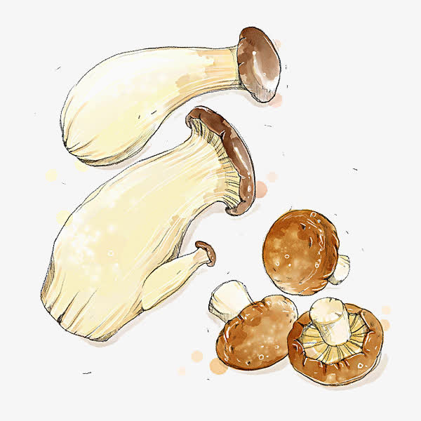 菌类食物免抠