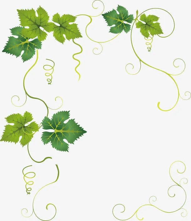 葫芦藤蔓矢量图免抠