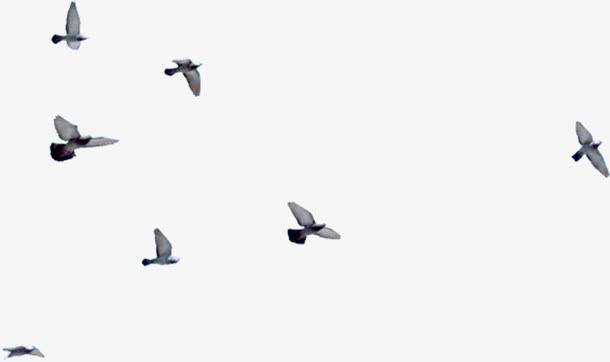 水墨画天空飞鸟免抠