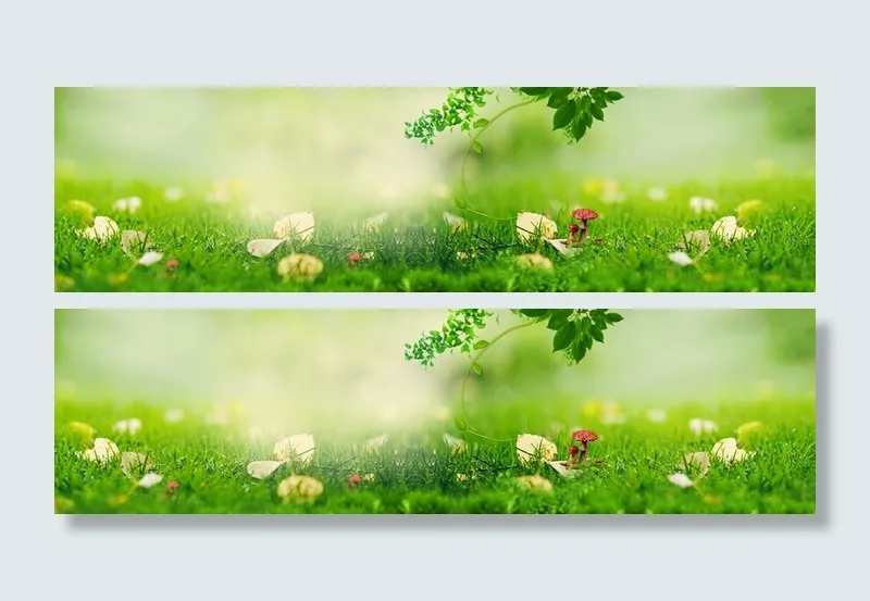 绿色草地背景高清