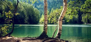 淘宝背景图高清