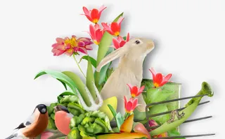 鲜花花卉装饰免抠