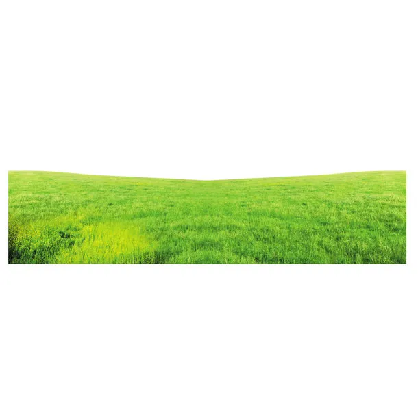 草地免抠