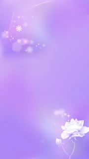 白色玫瑰下的紫色H5背景高清