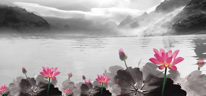 中国风水墨荷花风景素材高清