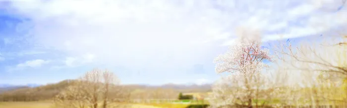 淘宝连衣裙背景图高清