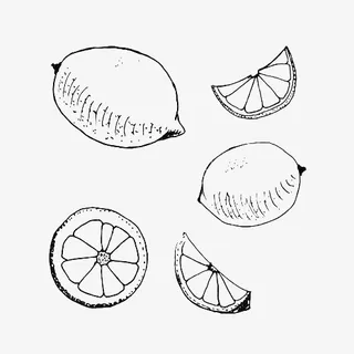 整只 半个柠檬简笔画免抠