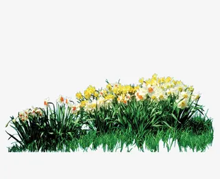 花卉植物圆环素材免抠